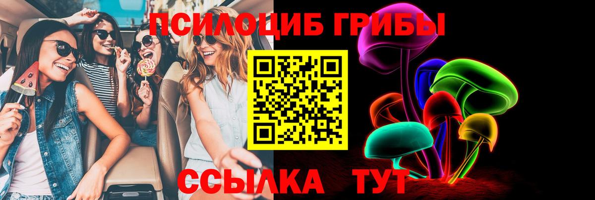 Меф МЯУ МЯУ кристаллы  Гашиш  Лесосибирск  Каннабис  A-PVP СК   Вход с VPN  Сколько стоит 